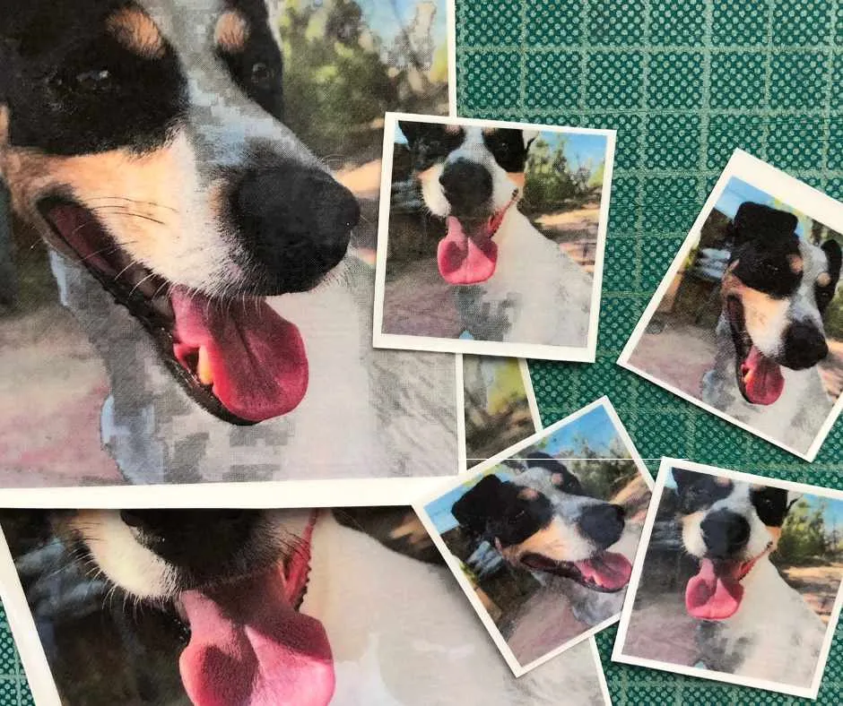 Custom temporary tattoo with pet photo